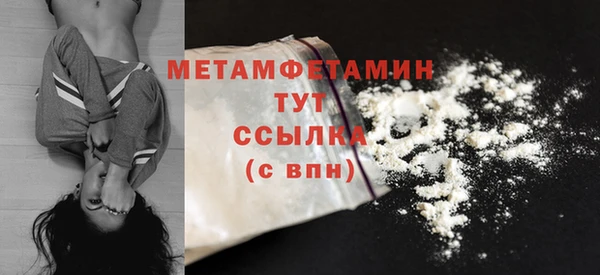 прущие грибы Верхний Тагил