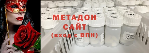 прущие грибы Верхний Тагил
