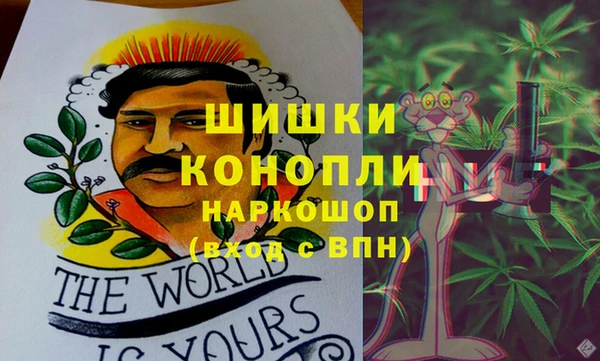 прущие грибы Верхний Тагил