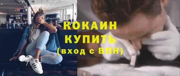 прущие грибы Верхний Тагил