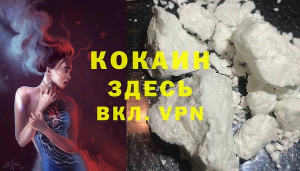 прущие грибы Верхний Тагил