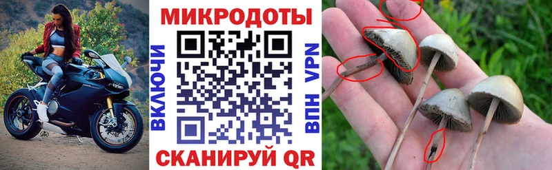mega tor  Семёнов  Галлюциногенные грибы прущие грибы  закладки 